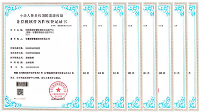 城市生命线AI管控类