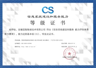 信息系统建设和服务能力